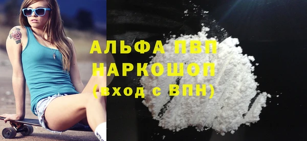 индика Богданович