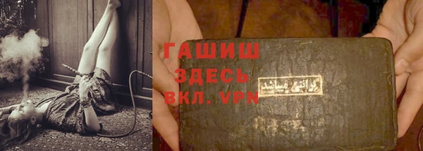 индика Богданович