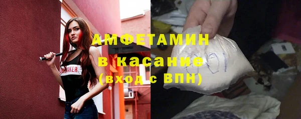 индика Богданович