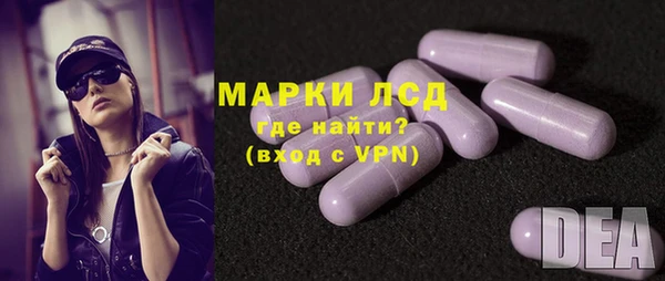 индика Богданович