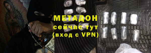 индика Богданович