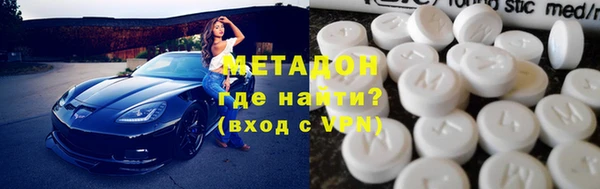 индика Богданович