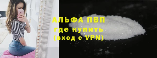 индика Богданович