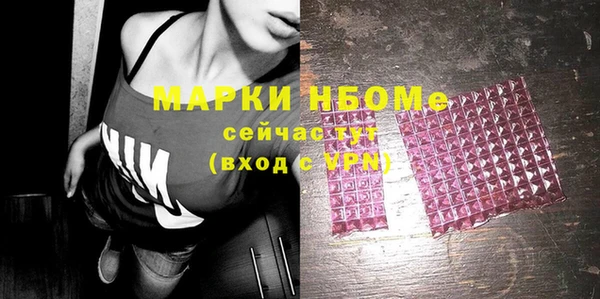 индика Богданович