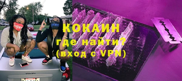 индика Богданович