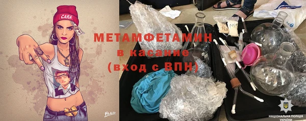 индика Богданович