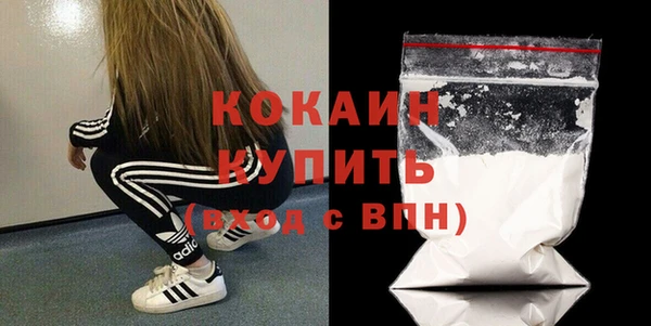 индика Богданович