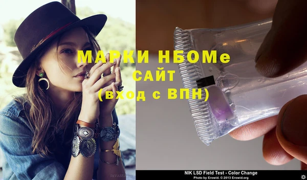 индика Богданович