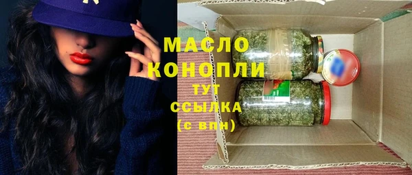 индика Богданович