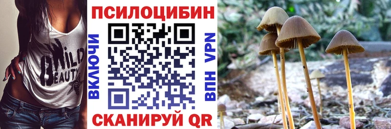 Псилоцибиновые грибы прущие грибы магазин Кинешма